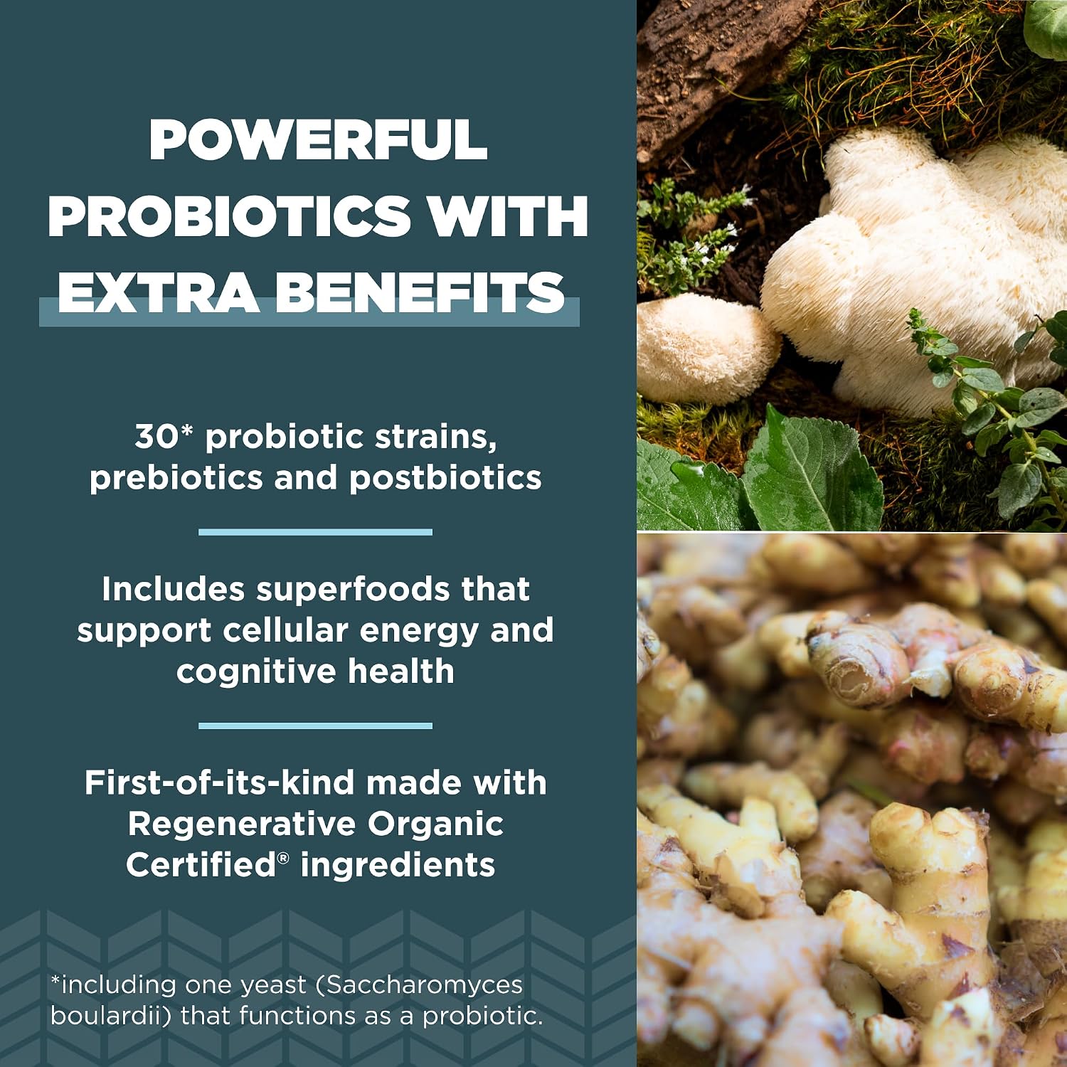Ancient Nutrition Probióticos Extra Fuertes 50 Mil Millones de UFC, Certificado Orgánico Regenerativo, 60 Cápsulas