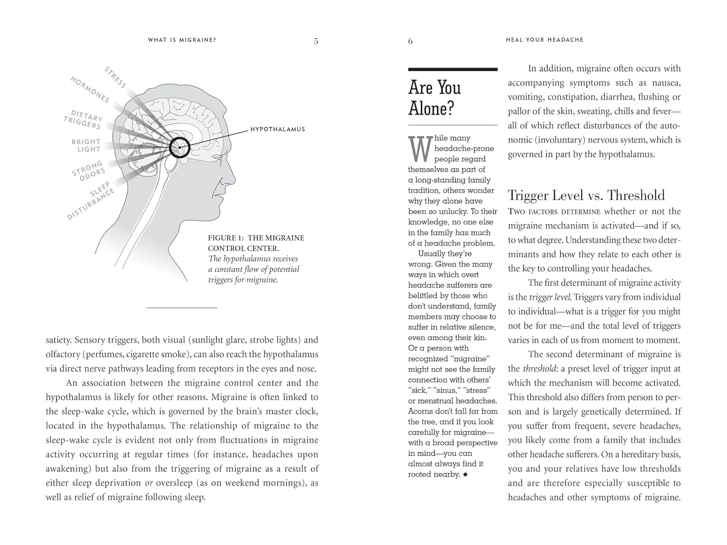 Heal Your Headache: El programa 1-2-3 para controlar tu dolor de cabeza