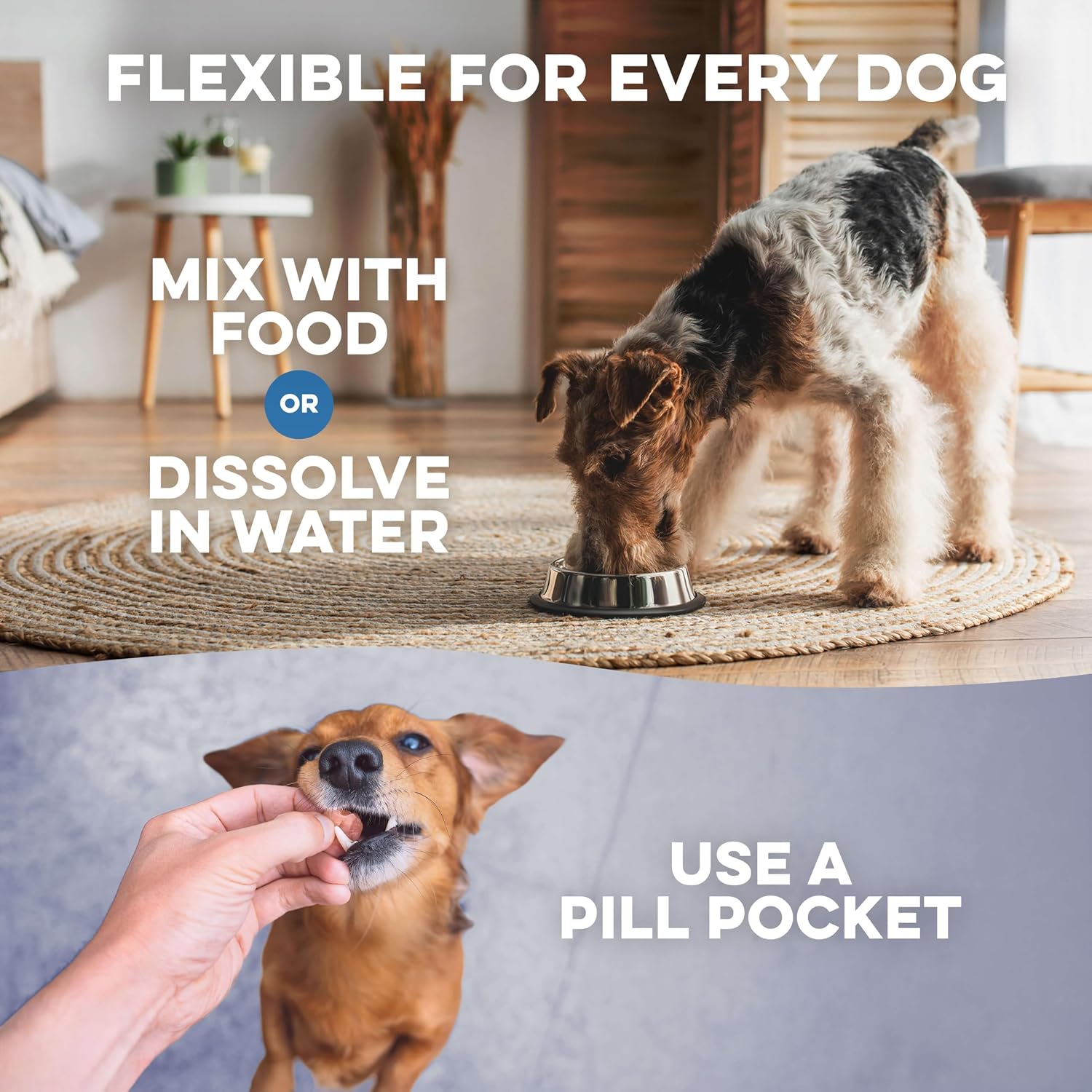 Fórmula para el Tratamiento de ITU y Salud Renal en Perros – Suplemento Urinario Natural – 400 Comprimidos Pequeños