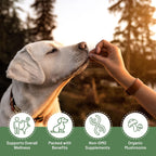 K9 Immunity Plus - Refuerzo Inmune Potente para Perros de más de 70 lbs - 90 Masticables Suaves