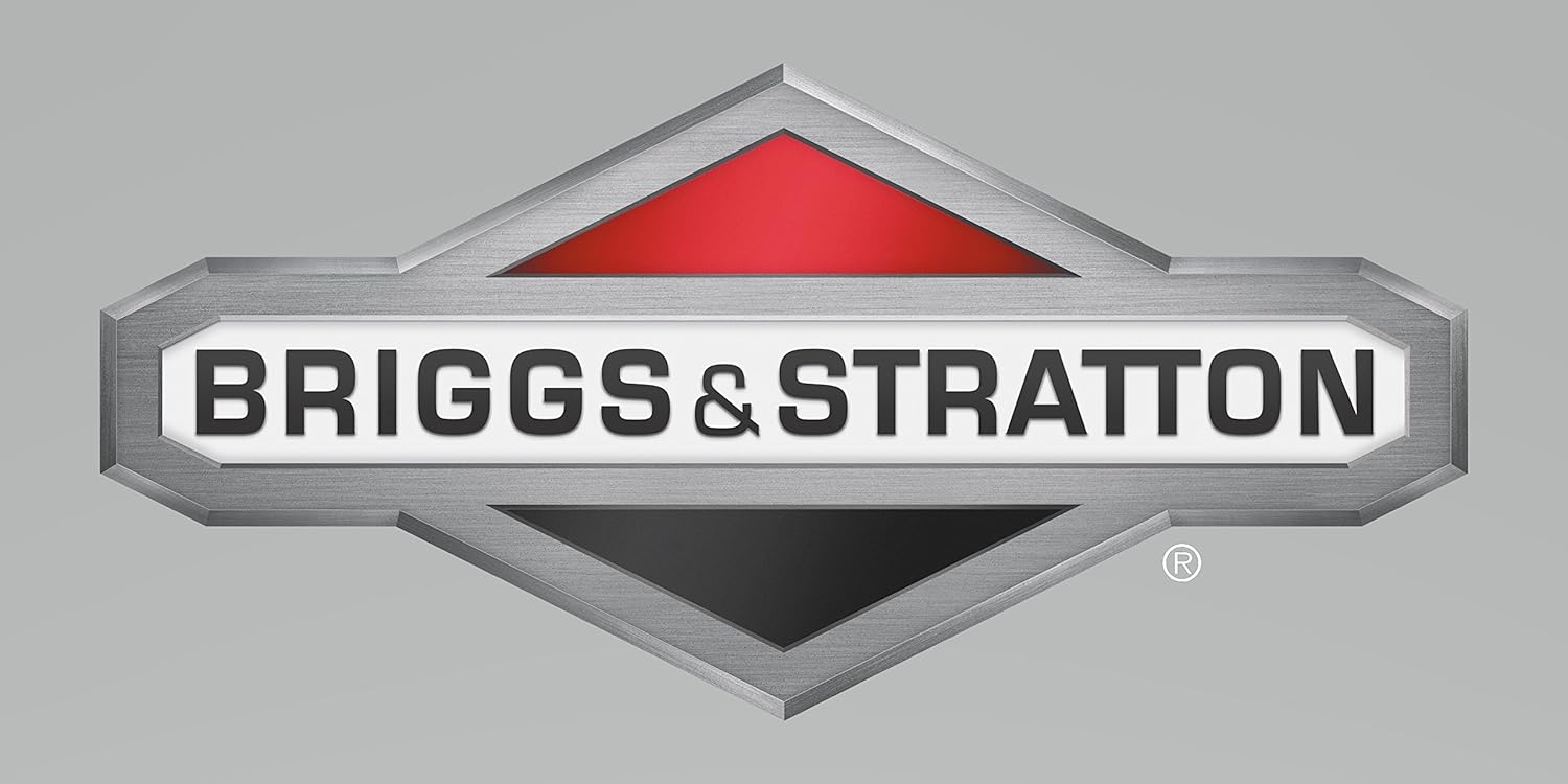 Briggs and Stratton 1726829SM Relé - Un Polo Doble Tiro