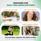Ultra Herbs Cápsulas de Sea Moss con Aceite de Semilla Negra, Ashwagandha, Vitamina D3 y C | 150 Cápsulas