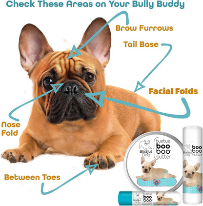 The Blissful Dog 2 oz TIN French Bulldog – Aceite de coco: Con propiedades hidratantes y antibacterianas naturales. – Image 6