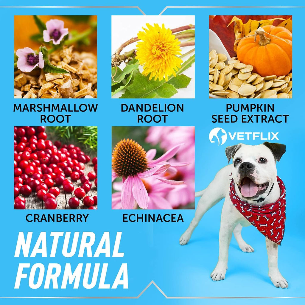 Vetflix Suplemento Líquido para Vías Urinarias y Riñón para Perros y Gatos, 59 ml