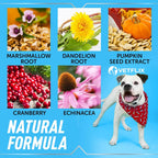 Vetflix Suplemento Líquido para Vías Urinarias y Riñón para Perros y Gatos, 59 ml