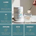 TODICAMP Zeolite Detox Sorbolit - Zeolite Binder Supplement for Full Body Detox - Gut Cleanse, Cellular and Liver Detox (1 Pound (Pack of 1))