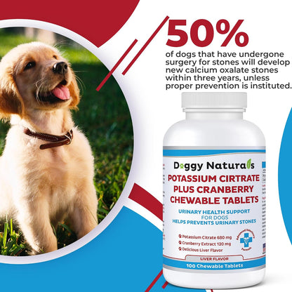 Suplemento de Citrato de Potasio y Arándano para Perros - 100 Comprimidos – Image 6