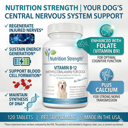 Nutrition Strength Vitamina B12 para Perros con Folato y Calcio - 120 Comprimidos Masticables – Image 3