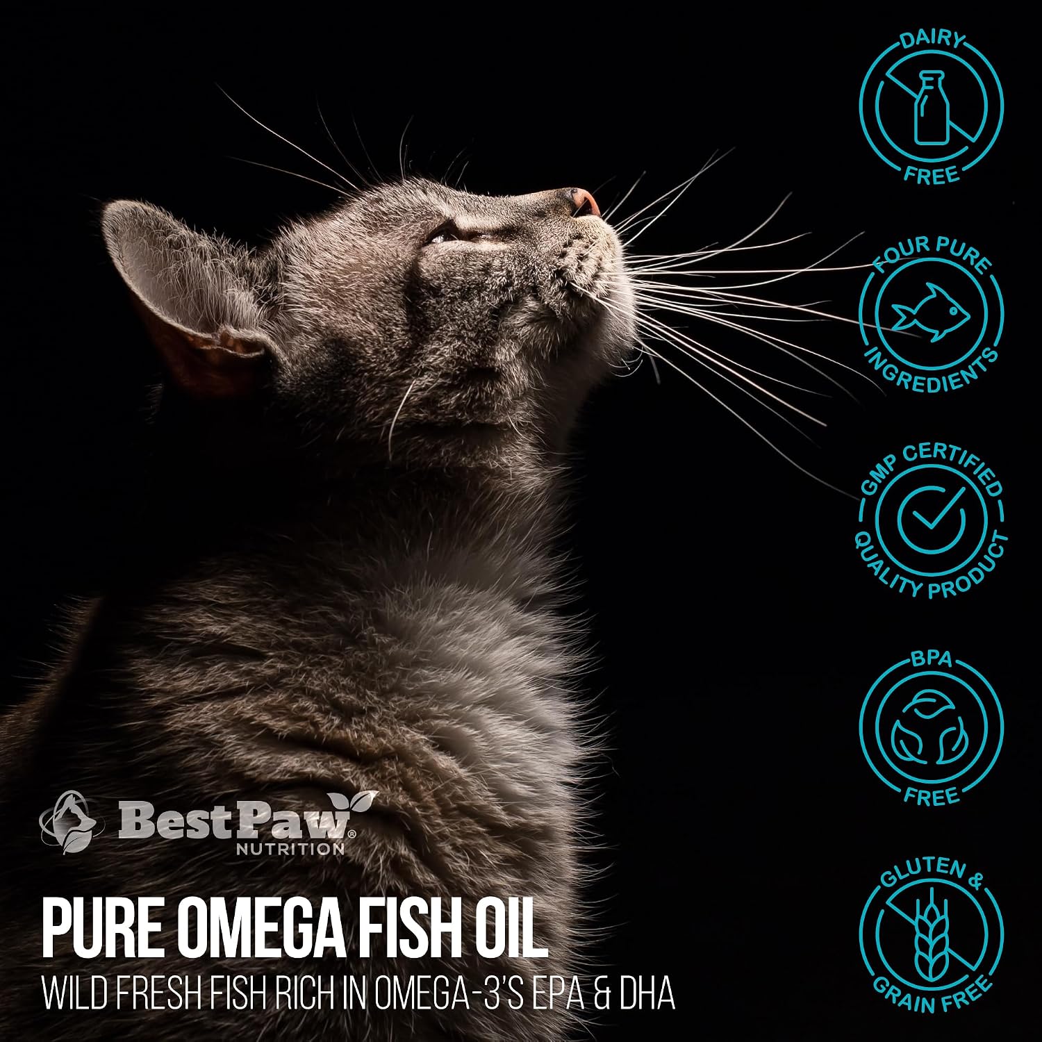Aceite de Pescado para Perros | Omega 3 Líquido de Captura Salvaje con Dosificador | Apoyo para Piel, Pelaje, Articulaciones, Corazón y Nervios | Alta Potencia EPA y DHA | 473ml