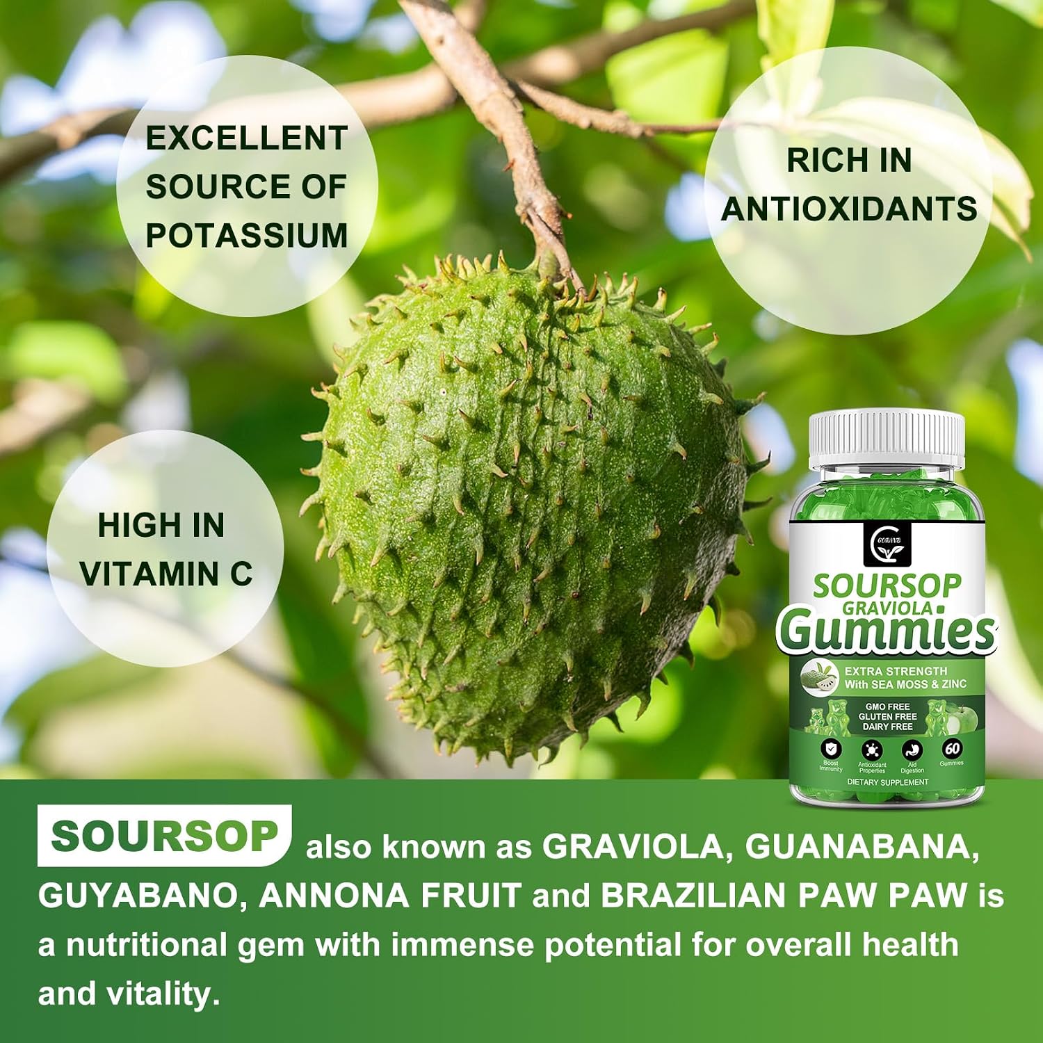 Gomitas de Graviola Soursop - 2200mg Extracto de Hojas de Soursop con Musgo Marino, Zinc y Vitamina C - 120 Gomitas (2 Envases)