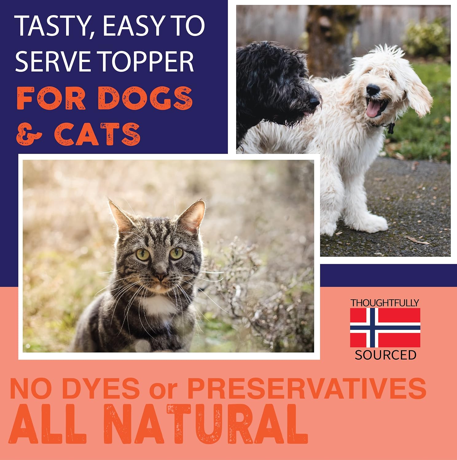 Nature's Diet Aceite de Salmón Noruego para Perros y Gatos - 946 ml