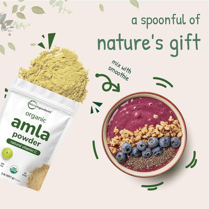 Polvo de Amla Orgánico (Amalaki) | 907g | Micro Ingredients – Image 6