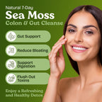 Atlantic Naturals Sea Moss 7-Colon Cleanse Powder – Sabor Piña, 397 g