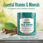 Country Farms Irish Sea Moss Gummies - 2000mg con Bardana y Fucus - Vegano y Sin Gluten - Sabor Manzana Verde