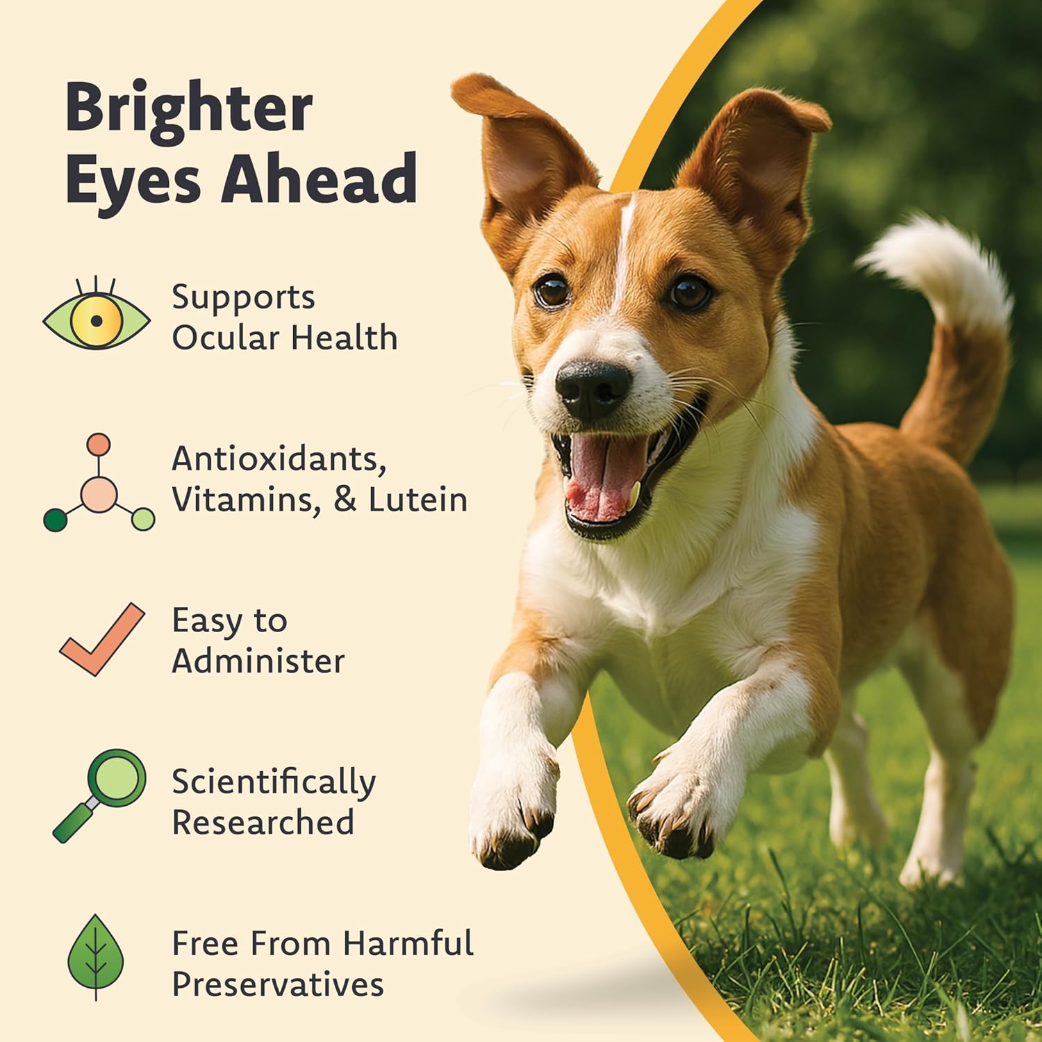 Ocu-GLO for Medium and Large Dogs (11+ lb), 90 Tablets