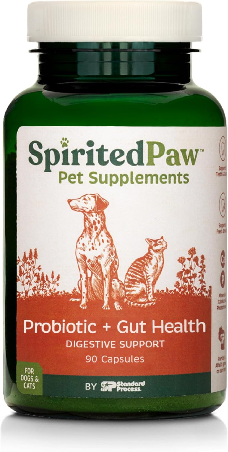 Spirited Paw Probiótico + Salud Intestinal - Apoyo Digestivo e Inmunológico para Perros y Gatos - Mezcla de Prebiótico, Probiótico y Postbiótico con Trigo Sarraceno Orgánico y Fibra de Raíz de Achicoria - 90 Cápsulas