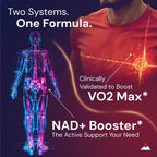Novex Biotech Oxydrene NAD+ Enhancer - 60 Cápsulas