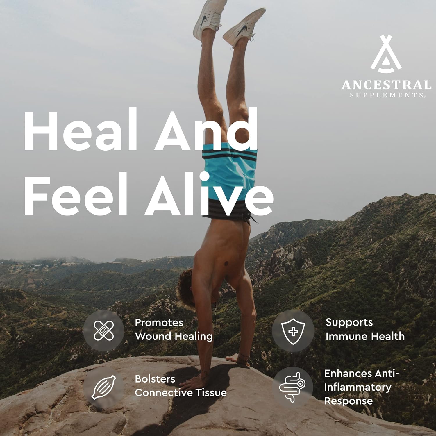 Ancestral Supplements Cartílago Traqueal de Res con Hígado, 3000mg, 180 Cápsulas