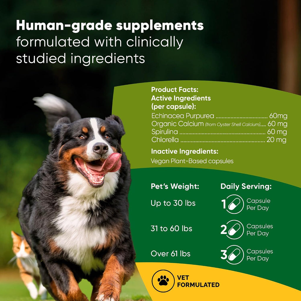 Rooted Owl® Blood Support para Perros y Gatos con Espirulina y Chlorella