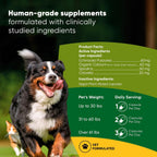 Rooted Owl® Blood Support para Perros y Gatos con Espirulina y Chlorella