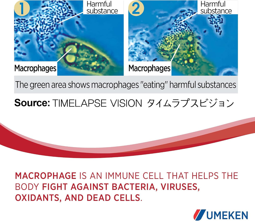 Umeken Lipopo, Suministro para 3 Meses – Lipopolisacárido, Betaglucano de Levadura, Bacterias Lácticas y Vitamina C. 90 Sobres. Hecho en Japón.