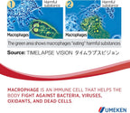 Umeken Lipopo, Suministro para 3 Meses – Lipopolisacárido, Betaglucano de Levadura, Bacterias Lácticas y Vitamina C. 90 Sobres. Hecho en Japón.