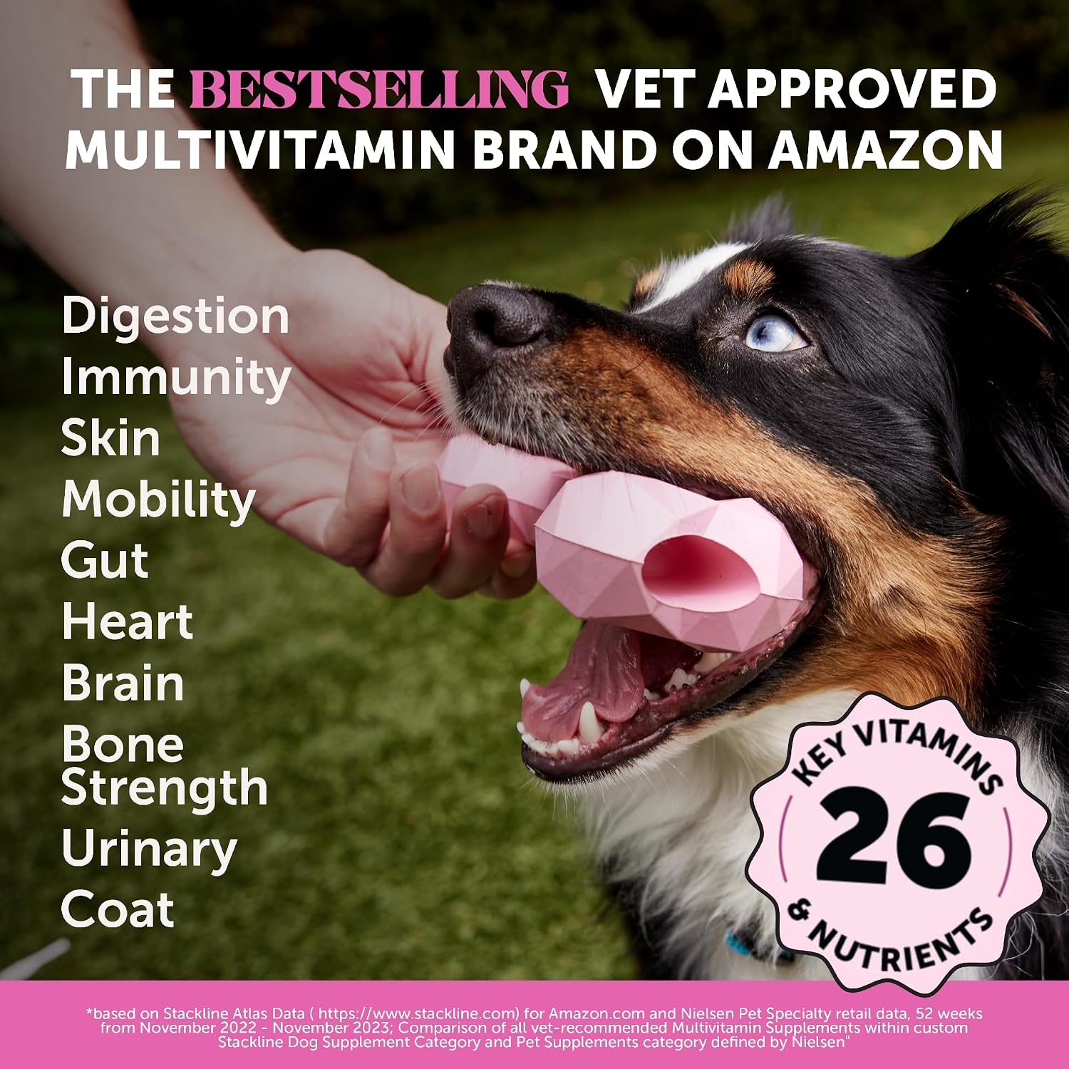 Pet Honesty Multivitamínico 10-en-1 para Perros con Glucosamina y Probióticos - 180 Comprimidos Masticables Sabor Pollo