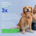 Multivitamin for Dogs 120 Tablets - Glucosamine, Fish Oil & CoQ10