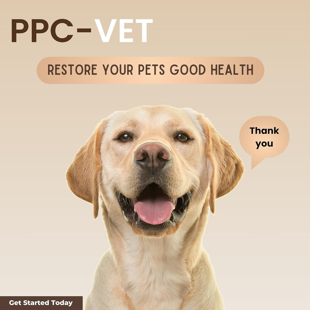 Nutrasal PPC-Vet Fosfatidilcolina Polinsaturada - Suplemento Hepático y Cerebral para Perros y Gatos - 1000 mg/5mL - Líquido Liposomal 236 ml