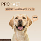 Nutrasal PPC-Vet Fosfatidilcolina Polinsaturada - Suplemento Hepático y Cerebral para Perros y Gatos - 1000 mg/5mL - Líquido Liposomal 236 ml