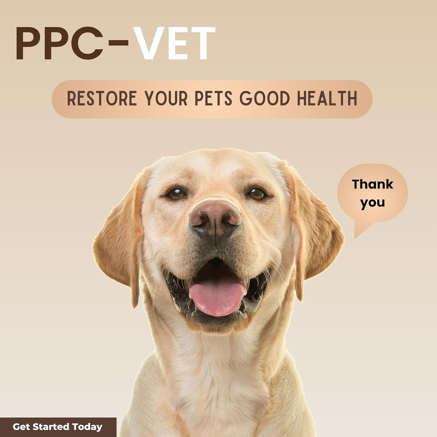 Nutrasal PPC-Vet Fosfatidilcolina Polinsaturada - Suplemento Hepático y Cerebral para Perros y Gatos - 1000 mg/5mL - Líquido Liposomal 236 ml