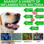 Antibióticos Naturales para Perros – Suplemento Herbal 60 ml