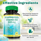 Vitamina B3 (Niacinamida) 500 mg - 240 Cápsulas - NGU Next Gen U