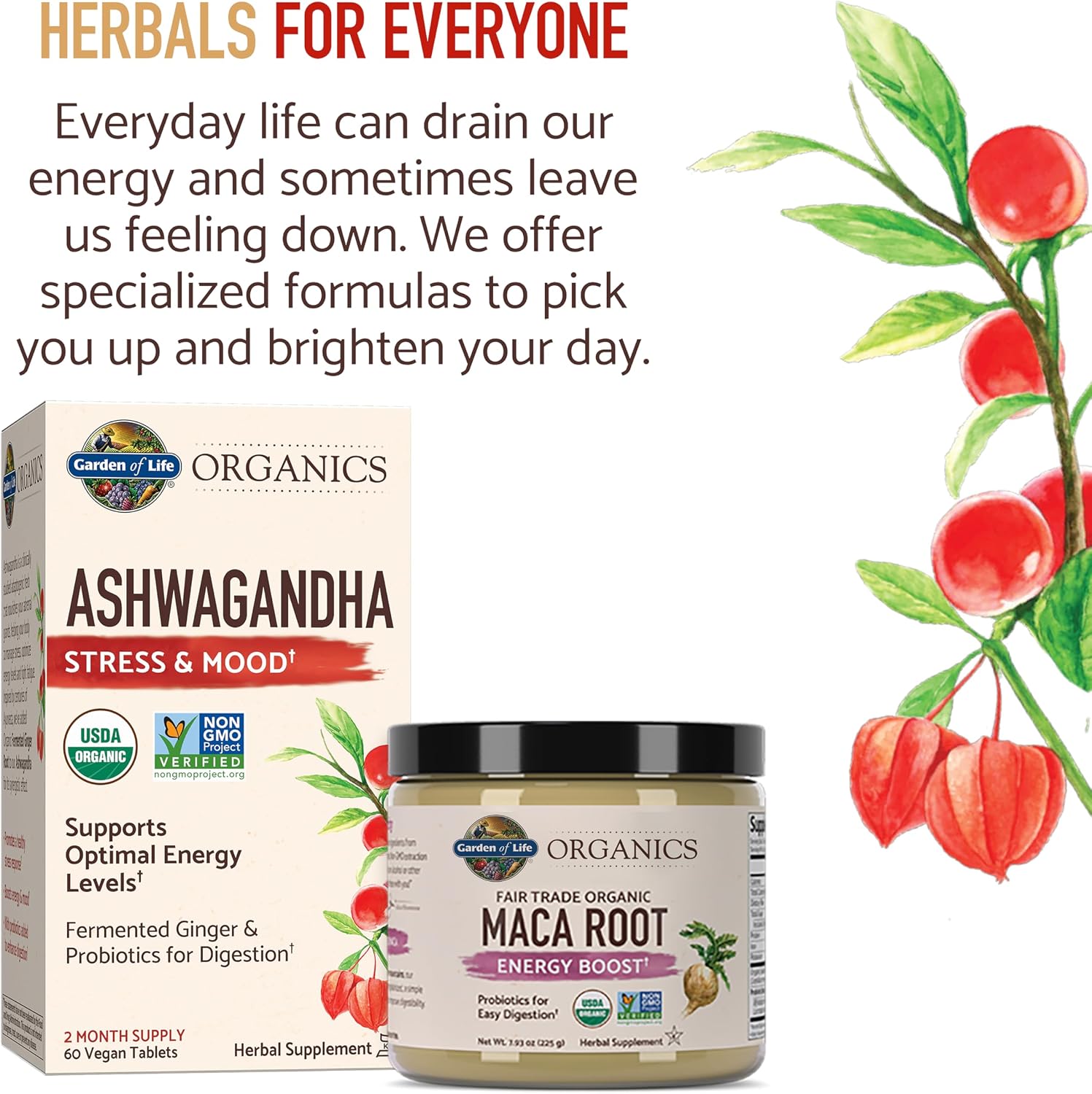 Garden of Life Organics Raíz de Maca Orgánica de Comercio Justo, Energía, 225 g