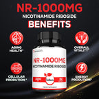 Satoomi NAD Nicotinamida Ribósido - Suplemento NR 1000mg - 60 Cápsulas (30 Días)