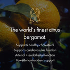 NAOMI Bergamota Italiana 500mg + Soporte de Óxido Nítrico – Colesterol Saludable, Flujo Sanguíneo y Circulación en Rango Normal – Mezcla Patented BergAmore® & S7®