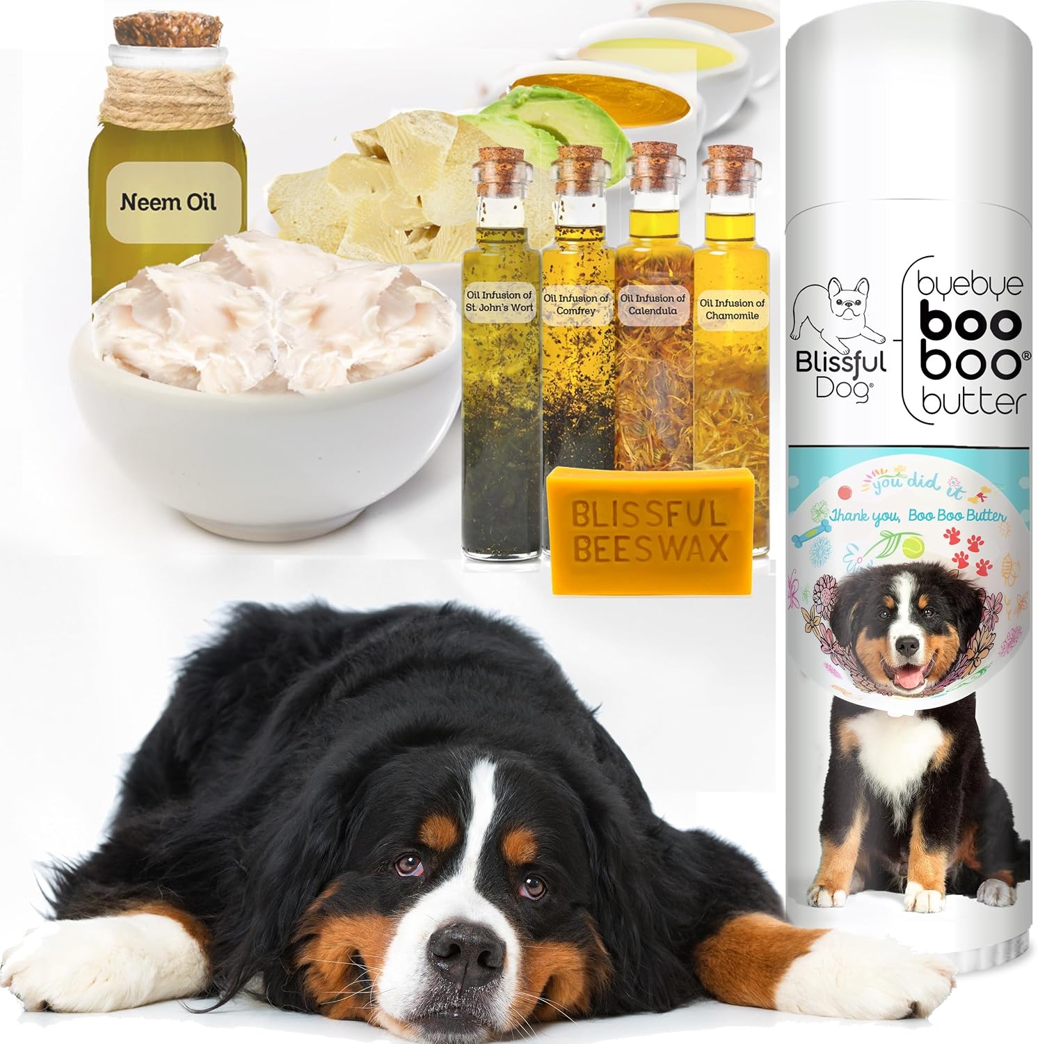 The Blissful Dog Tubo de .50 oz de Mantequilla para Booboo de Boyero de Berna