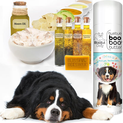 The Blissful Dog .50 oz Tube Bernese – Aceite de oliva: Emoliente natural, rico en antioxidantes. – Image 2