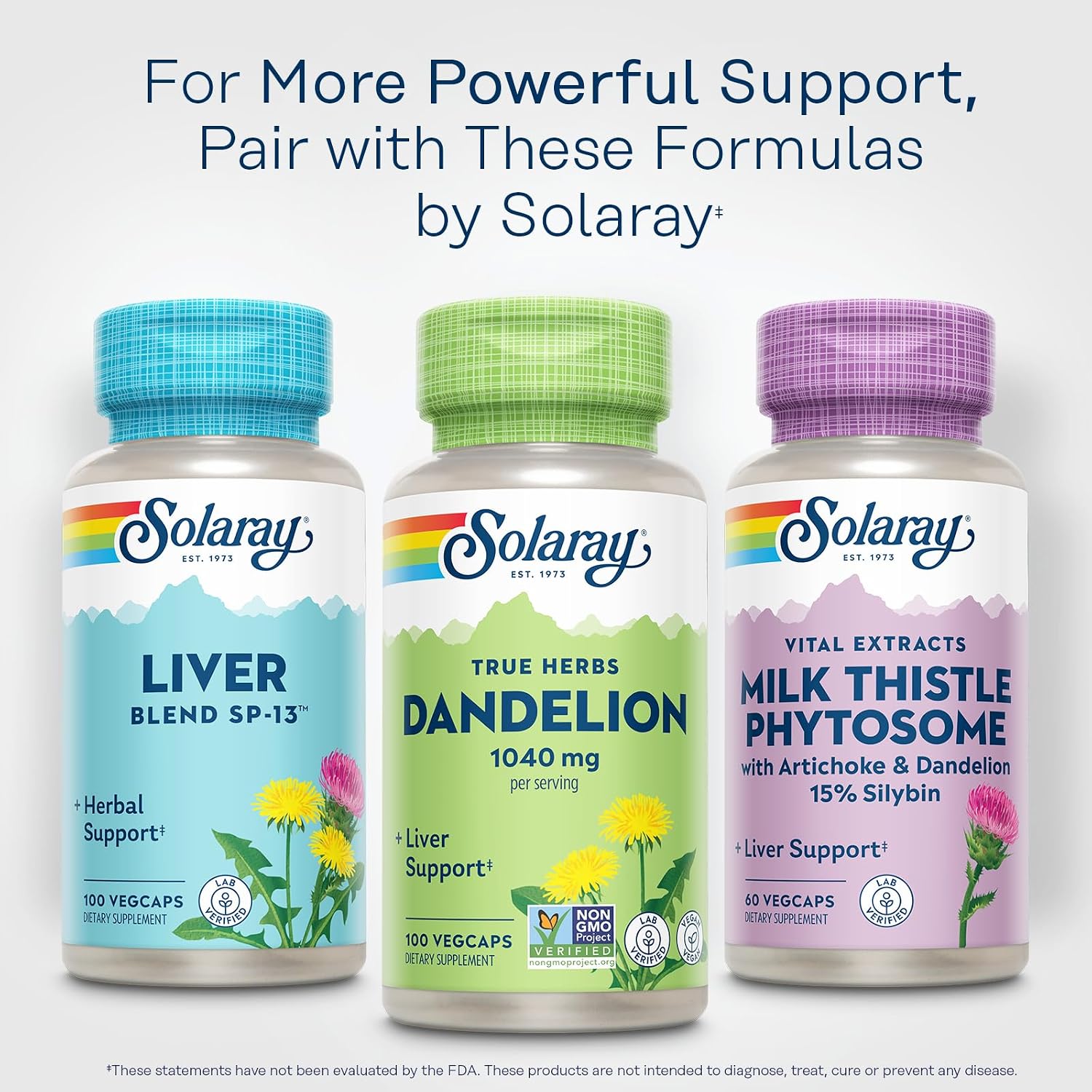 SOLARAY Dandelion Root - Kidney & Liver Support Supplement - 1,040 mg Per Serving - Vegan - 100 VegCaps