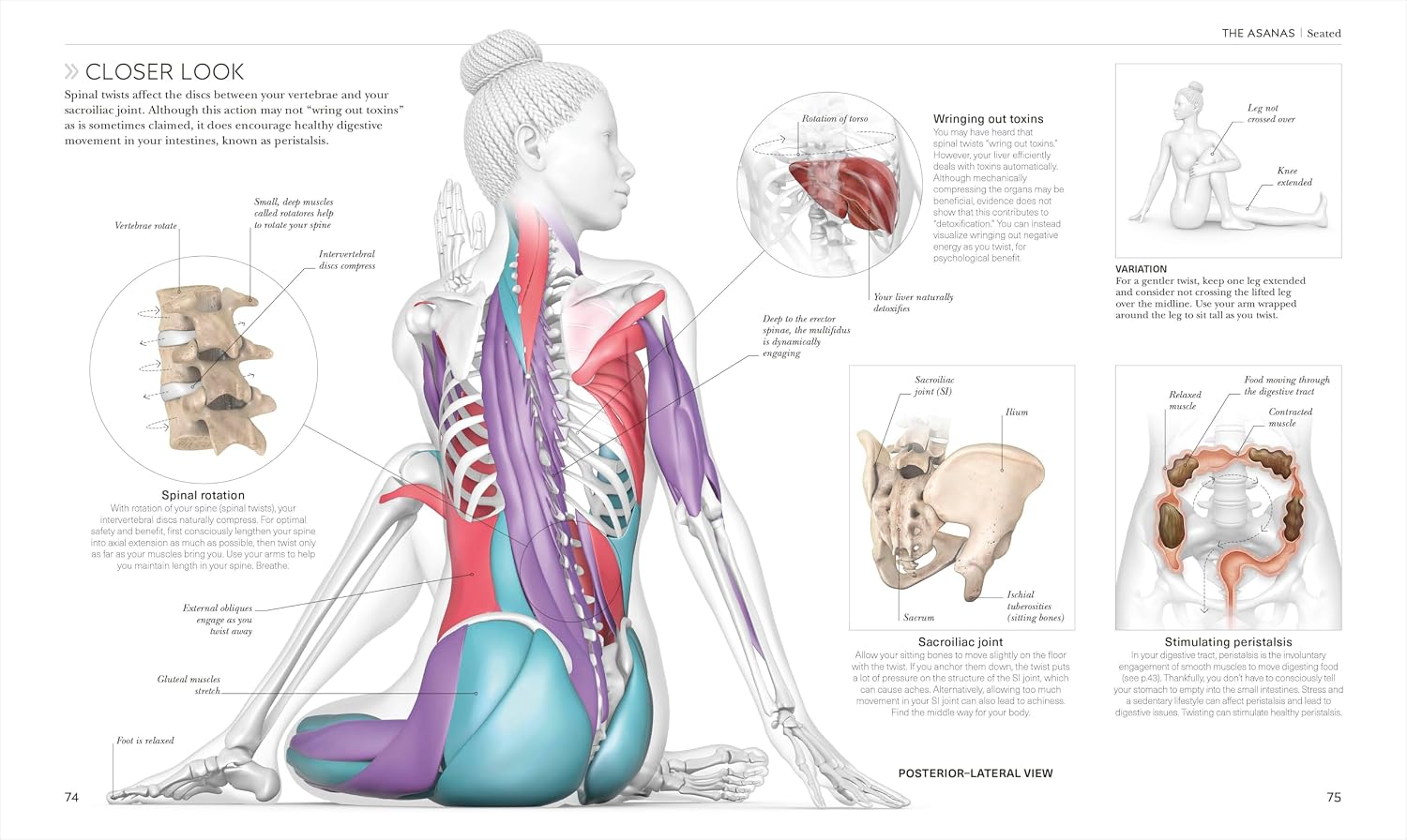 Science of Yoga: Understand the Anatomy and Physiology to Perfect Your Practice (The Science of Fitness)