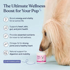Pawfy Multivitamínicos para Perros 15 en 1 | Vitaminas para Piel y Pelaje | Apoyo para Perros Mayores | 30 Comprimidos