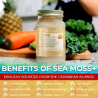 WELLNESS LABSRX Gel de Musgo Marino Irlandés - Sabor Original - 10 oz (283 g)