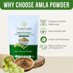 Exotic Veda Polvo de Amla Puro - 100g (100% Natural)