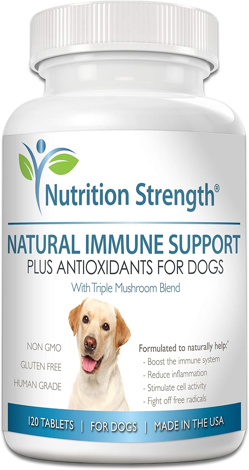 Nutrition Strength Immune Support for Dogs - Turkey Tail, Reishi, Shiitake, Maitake Mushroom Complex - Senior Dog Health - 120 Chewable Tablets