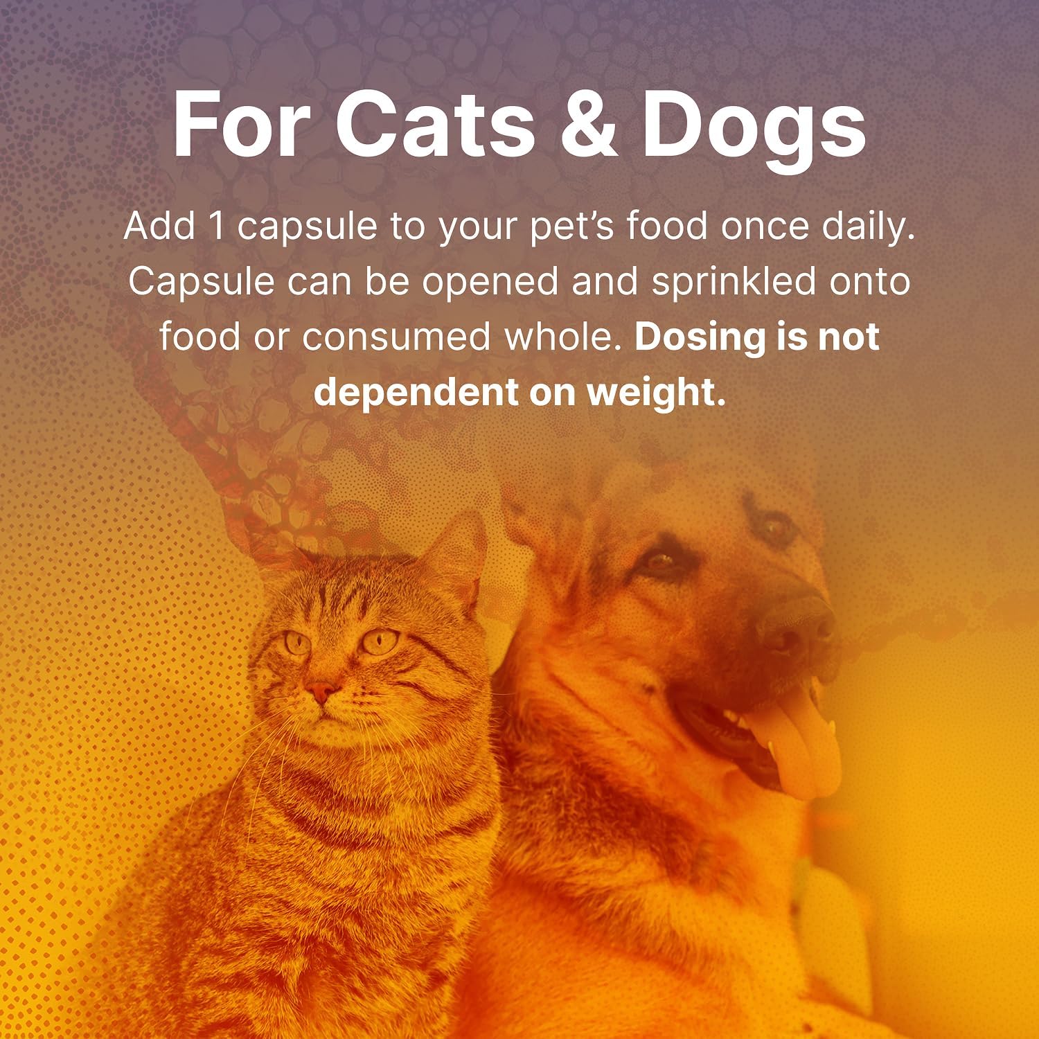 Fidospore Probióticos para Perros - Salud Digestiva e Inmunidad - 30 Cápsulas