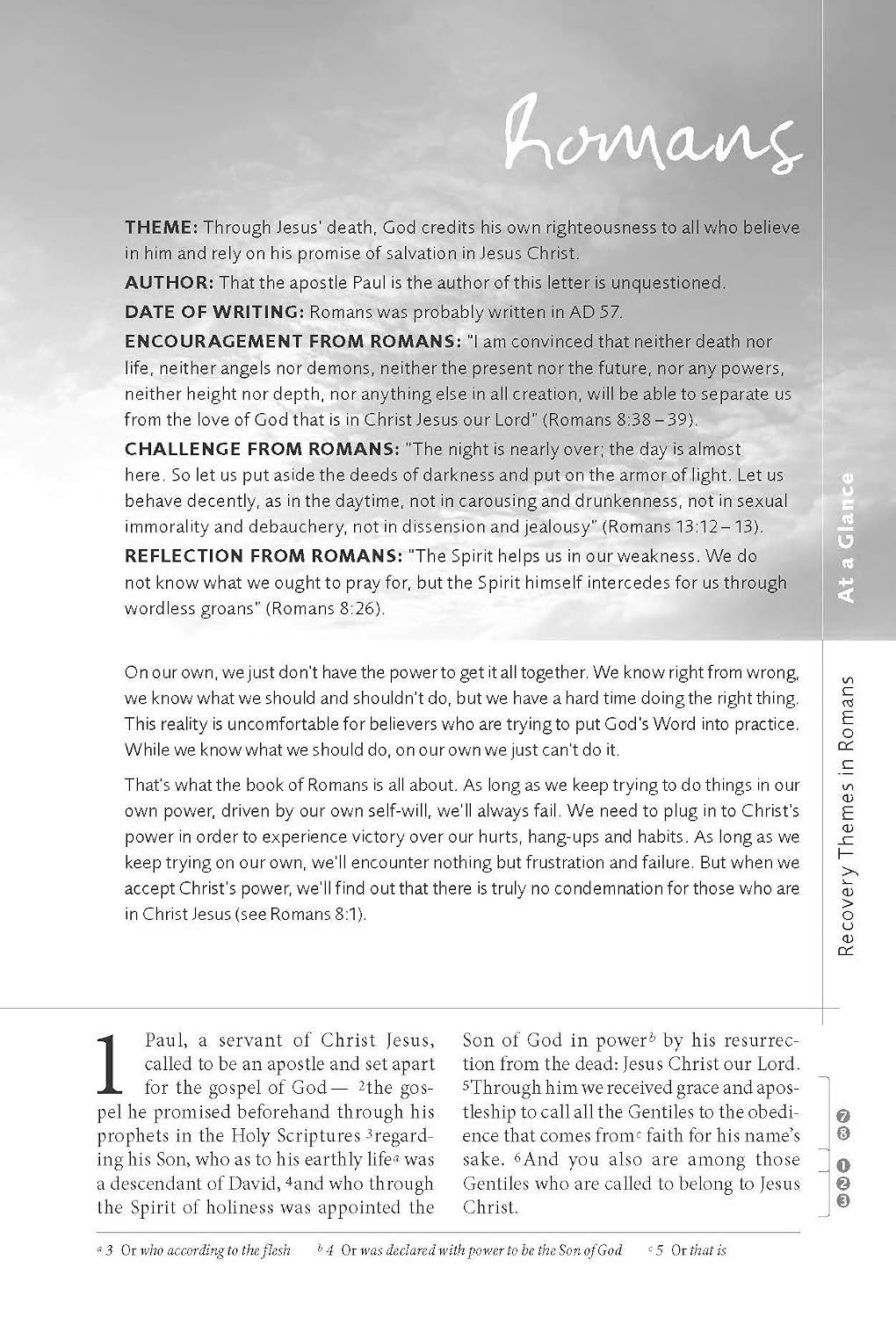 NVI, Biblia de Estudio Celebrate Recovery