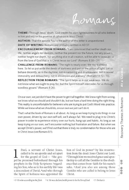 NIV, Celebrate Recovery Study Bible – Image 7