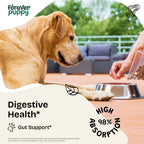 Gotas de Manzanilla para Perros - Extracto Líquido para el Alivio de Gases y Apoyo Digestivo - 60 ml