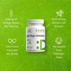 DEAL SUPPLEMENT Ginkgo Biloba 500mg - 240 Cápsulas - 4 Meses de Suministro
