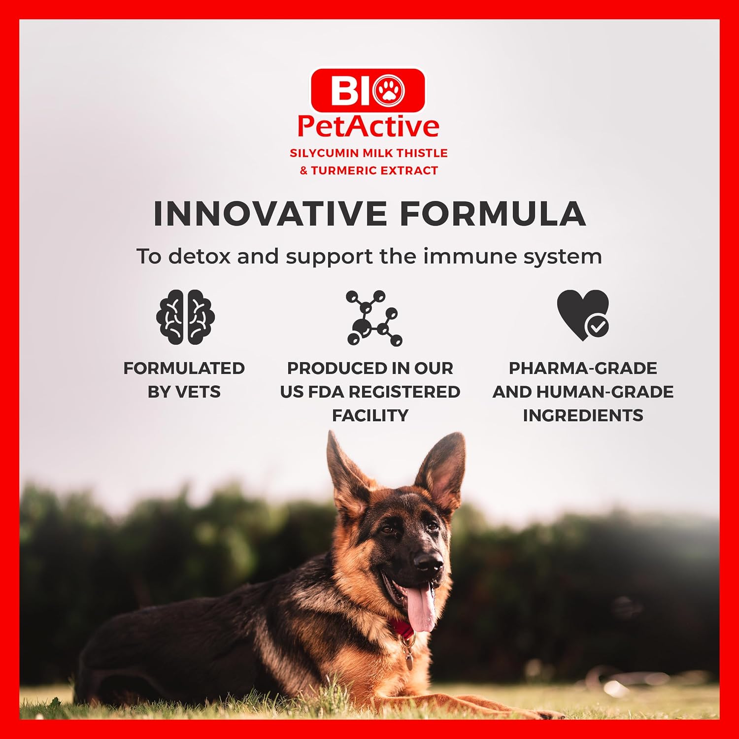 Bio PetActive Silycumin Cardo Mariano y Cúrcuma para Perros - 45 Comprimidos Masticables